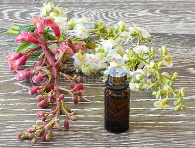 Bach Flower Remedies